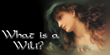 What is a Wili?